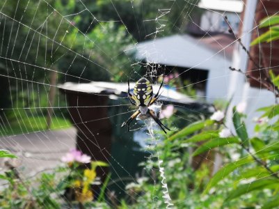 IMG_20180917_175139.jpg