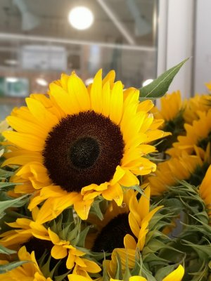IMG_20180729_122227.jpg