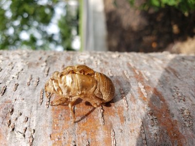 20180824_103952.jpg