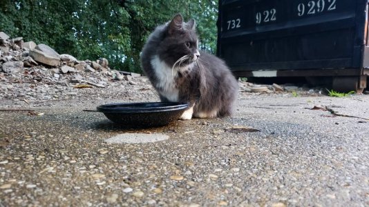 20180926_065838.jpg