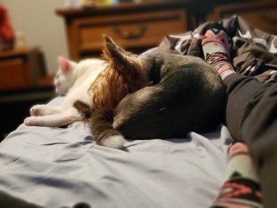 20180925_193405.jpg