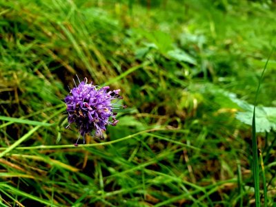 20180824_210529.jpg