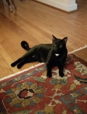 20180801_212015.jpg