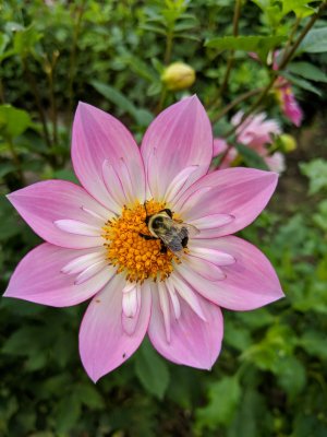 MVIMG_20180824_090751.jpg