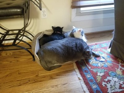 20180926_170802.jpg