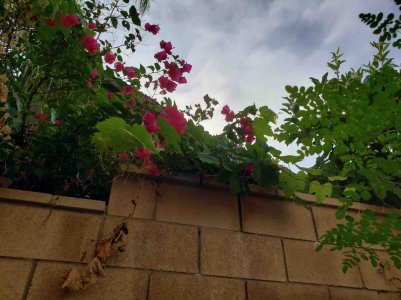 20180825_091340.jpg