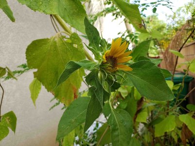 20180825_091321.jpg