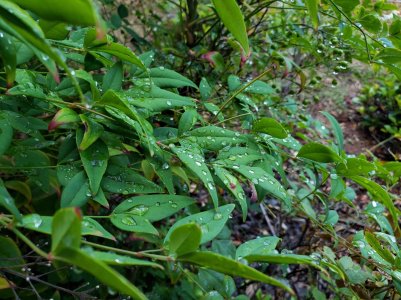 20180825_095328.jpg