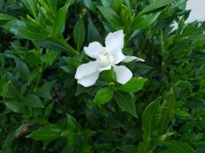 20180825_161127.jpg