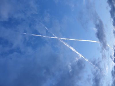 20180825_195107.jpg