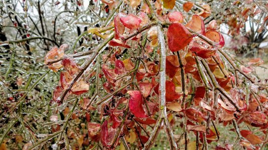20181115_092038_HDR.jpg