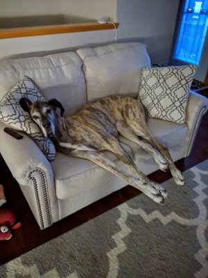 IMG_20181115_063230.jpg