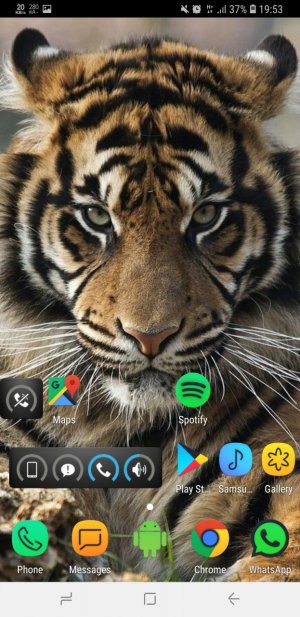 Screenshot_20181001-195317_Nova Launcher.jpg