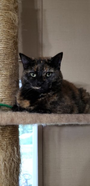 20180826_192641_edited.jpg