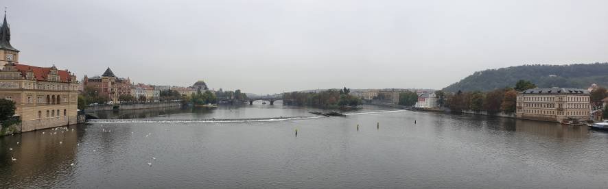 20181001_140030-01.jpeg