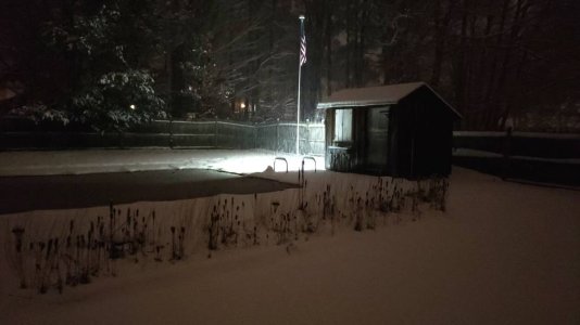 IMG_20181116_085228.jpeg