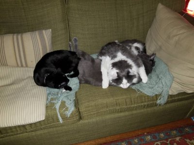 20181002_035647.jpg