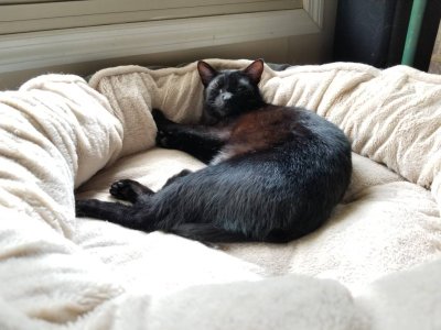 20180827_142439.jpg