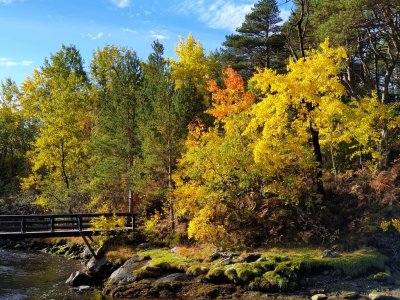 20181002_113630.jpg