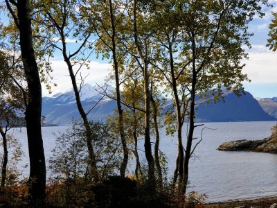 20181002_114145~2.jpg