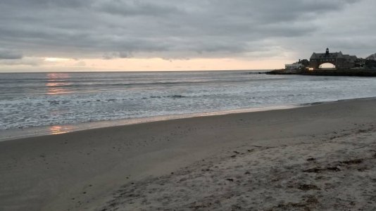 20181119_064534.jpg