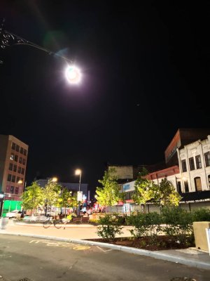 3133.jpg
