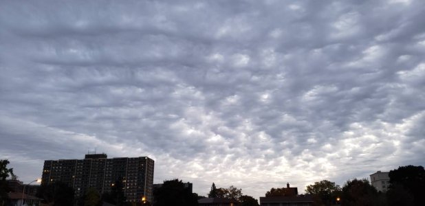RDT_20181112_0710378432622843274609986.jpeg