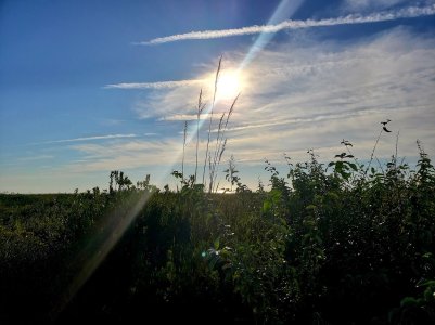 20180929_214424.jpg