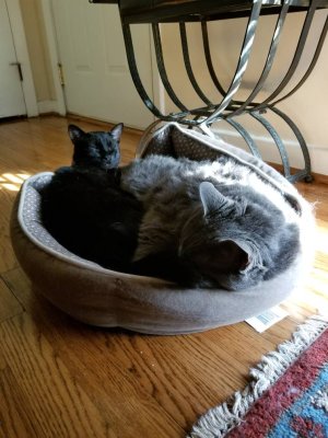 20181002_161748.jpg