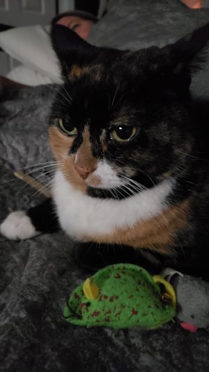 20181003_205704.jpg
