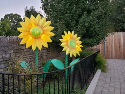 20181003_191845.jpg