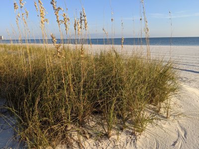IMG_20181120_160056.jpg