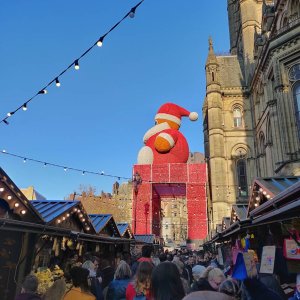 IMG_20181118_204315_593.jpeg