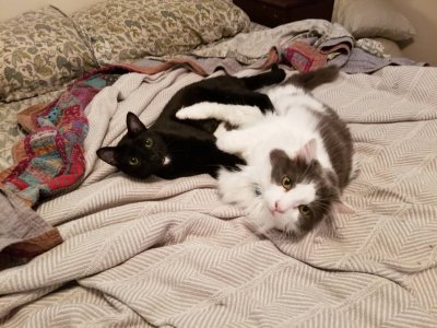 20181115_143629.jpeg