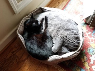20180829_160147.jpg