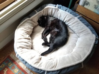 20180829_132515.jpg