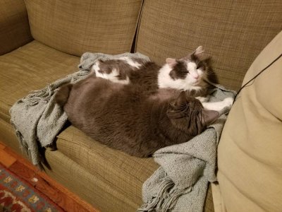 20180828_040905.jpg