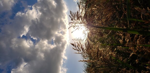 20181005_182318.jpg