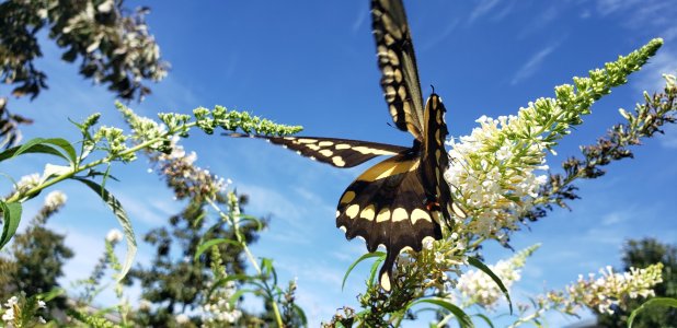 20181021_143054.jpg