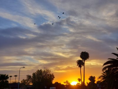 20180830_061249.jpg