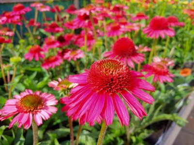 20180830_142514_HDR.jpg