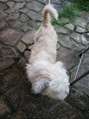 20181005_072505.jpeg