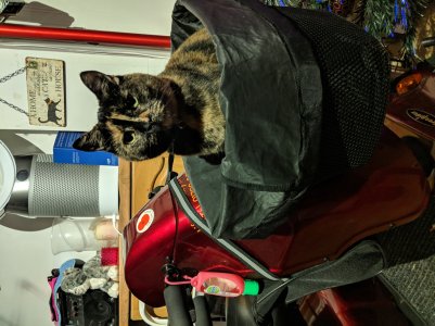 IMG_20181121_163958.jpg