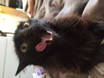 20180630_174358.jpg