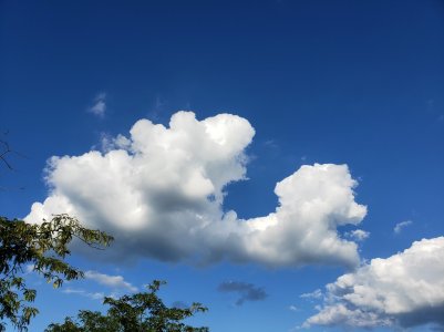 20180830_180027.jpg