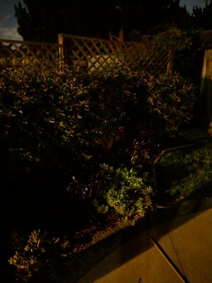 IMG_20181122_184733.jpg
