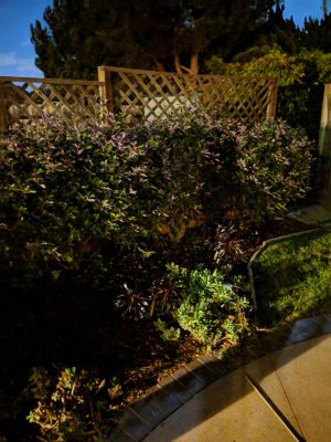 IMG_20181122_184745.jpg