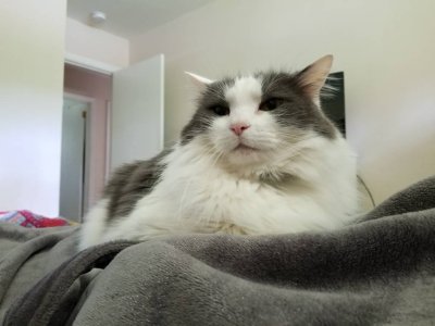 20180930_095158.jpeg