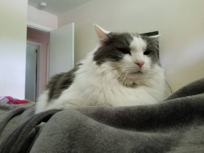 20180930_095149.jpeg