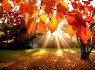 autumn0.jpg